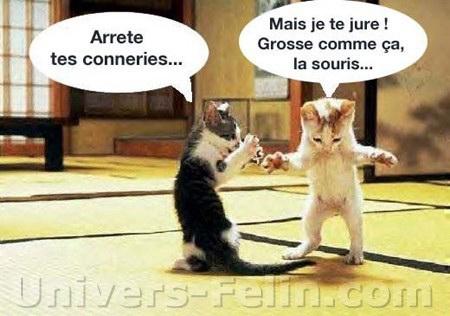 MENTEUUUUUUUUUUUUUR !!!!!!!!!!!!!!