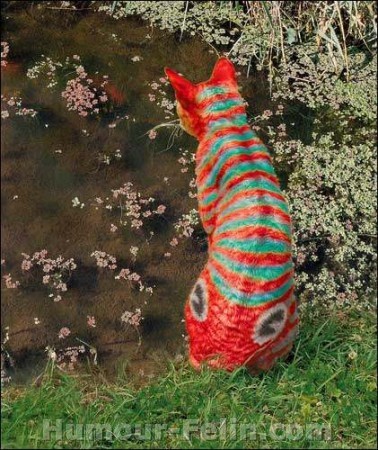 poisson...