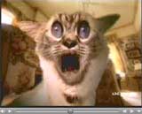 aaaaaaaaaaaaaaaaa