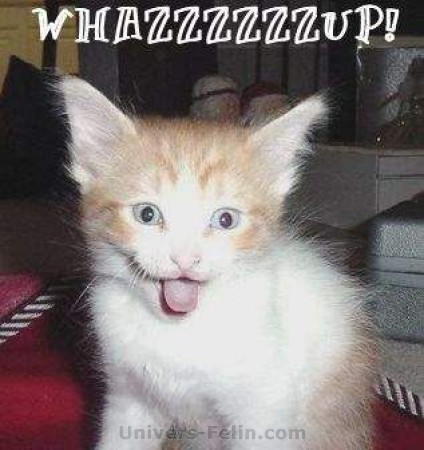 WAZZZZZZZZZZZZZAAAAAAAAAAAAAAAAAAAAA